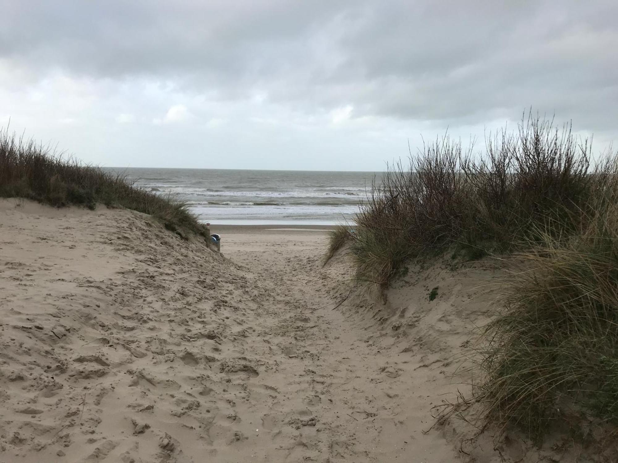 Duplex Penthouse Super Zeezicht Apartment De Panne Exterior photo